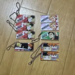 ハイキュー!! アクリルキーホルダー 9点セット