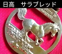 Item thumbnail for item 99799f52-329a-4159-bf03-2e6a945f5b51