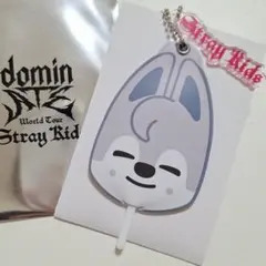 新品 ランダムミニうちわキーホルダー バンチャン ウルフチャン