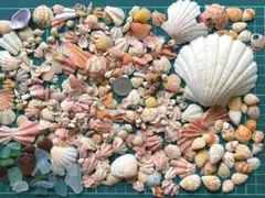 Item thumbnail for item 8ddc9d3d-d76b-4924-a9e5-758376c7e738