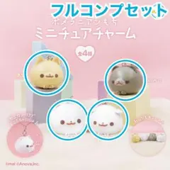 ポメラニアンもち ミニチュアチャーム ガチャガチャ ガチャ もち しらたま