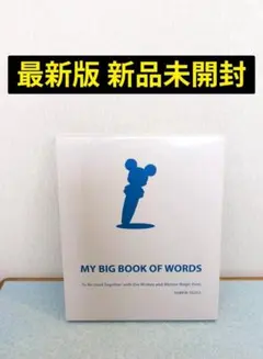 ディズニー　ワールド　オブ　イングリッシュ　CD NO9 新品未開封 2025年最新】ディズニーワールドオブイングリッシュの人気