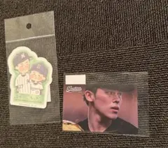 Item thumbnail for item ed1e7a74-953b-44f1-a8de-e8797e3ad4fb