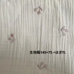 刺繍ガーゼ生地 145×75cm