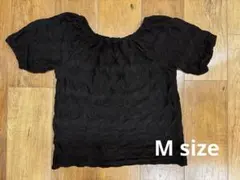 Item thumbnail for item 04ed4e0b-f13f-40a9-a0fe-6a66a378e12b