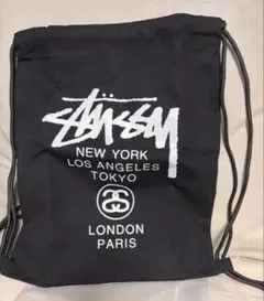 STUSSY リュックサック キャンバスバッグ ブラック【24時間以内発送】新品