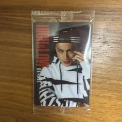 HiGH&LOW ハイアンドロー ウエハース 10 BERNIE 白濱亜嵐