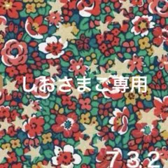 しおさまご専用