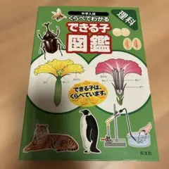 Item thumbnail for item 0b6cc5cb-4991-4ca1-9010-deed4d72d02f