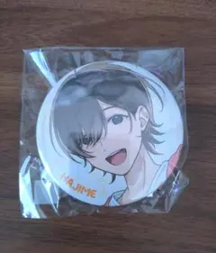 2025年最新】アオペラ 壱 缶バッジの人気アイテム - メルカリ