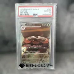2026年最新】タマザラシ ar psa10の人気アイテム - メルカリ
