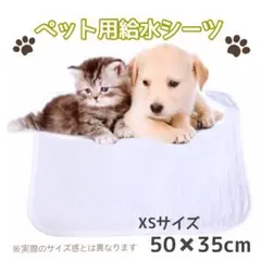 ペットシーツ 白　小さい XS 洗える トイレ おしっこ シート マット 犬 猫のサムネイル
