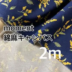 2m moment 綿麻キャンバス　ミモザ　ハギレ　生地