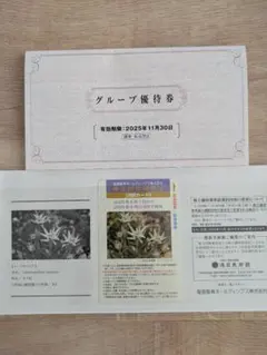 【まーにゃん様専用】阪急阪神ホールディングス　株主優待　回数乗車券2回カード