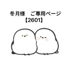 冬月様　ご専用ページ【2601】