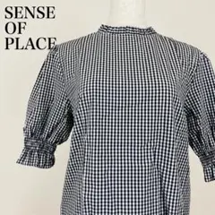 極美品 SENSE OF PLACE ブラウス シャツ 0755Bのサムネイル