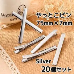 Item thumbnail for item 08d1b8cf-5ad4-4446-b0c5-887a371d9aba