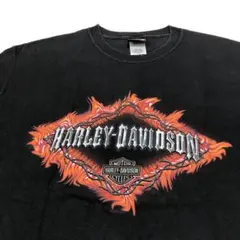 HARLEY-DAVIDSON ビンテージ tシャツ ファイヤー usa製
