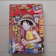 週刊少年ジャンプ 2010年50号 ONE PIECE表紙センターカラー鳥山明