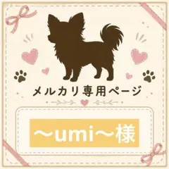 専用ページ 置き配ステッカー ダックスフンド
