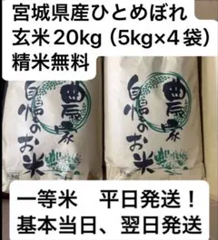 玄米20kg（5kg×4袋）精米無料　即購入可令和7年宮城県産ひとめぼれのサムネイル