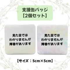 【支援缶バッジ/2個セット】見た目ではわかりませんが障害があります