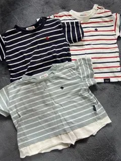 PoLo ストライプ Tシャツ 3枚セット