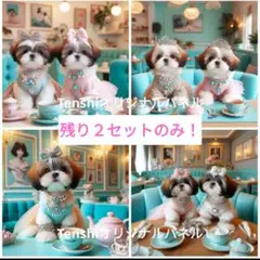 数量限定！即購入可❤