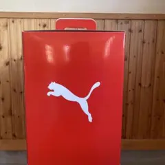 Item thumbnail for item b6cd2817-c843-498f-9689-8ecdb2d7aff8