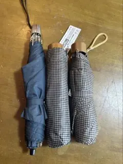 Item thumbnail for item ca718f47-37df-4f02-8e11-bc78a2e993f1