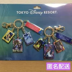 東京ディズニーリゾート　イマジニングザマジック　キーチェーン　実写