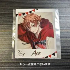 ツイステ くつろぎマイルーム カード エース