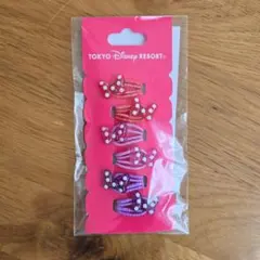 東京ディズニーリゾート ヘアゴムセット