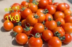 ★早朝収穫★とれたてミニトマト★品種:サンチェリーピュア★のサムネイル