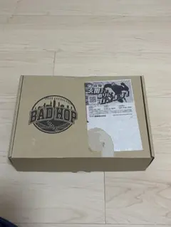 BAD HOP Breath of South ライブDVD BAD HOP ワンマンライブ 