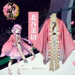 2026年最新】北谷菜切 コスプレの人気アイテム - メルカリ