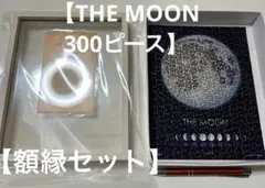 【THE MOON 月の世界】ジグソーパズル 300ピース 《未使用額》付きのサムネイル