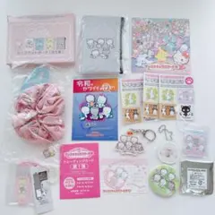 サンリオ ニャニィニュニェニョン ポーチ アクリルチャーム ステッカー シュシュ