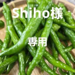 Shiho様専用ページです❣️