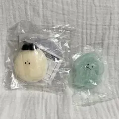 スクイーズ2個セット は？まぐり やわらかイカ？