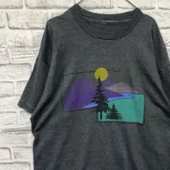 USA製90sヴィンテージTシャツ！シングルステッチグレー古着XL0513のサムネイル