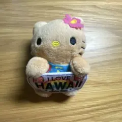 日焼けキティ　HAWAII