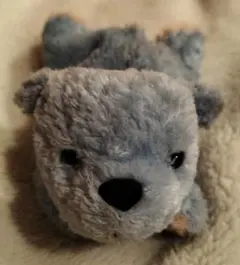 Item thumbnail for item ef2bec1b-c7ea-4aaf-bde9-8c2408e4a8bc