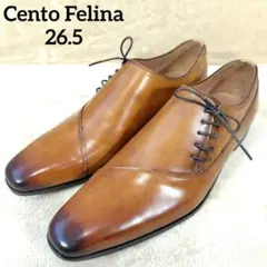 未使用品 チェントフェリーナ サイドレース ドレス ビジネスシューズ ブラウン
