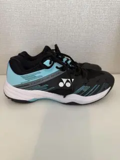 Item thumbnail for item 9b13f079-a433-4583-a2ce-07d9a51e6cf4