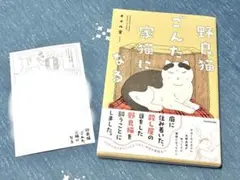 野良猫ごんた、家猫になる　アニメイト特典付き