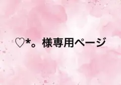 ♡*。様専用ページ