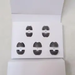 未使用級 Anker soundcore liberty 5 交換用イヤーピース