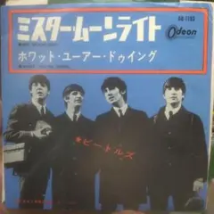 The Beatles / ミスター・ムーンライト / 日本盤7インチ /見本盤 The Beatles / ミスター・ムーンライト / 日本盤7インチ /見本盤