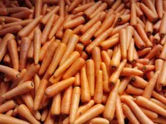 【期間限定】農薬・化成肥料不使用 にんじん5kg 訳あり 千葉県産のサムネイル
